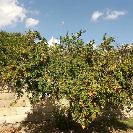 Il Giardino Delle Margherite 4*