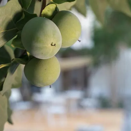 Il Giardino Delle Margherite Alojamento de Acomodação e Pequeno-almoço Lecce