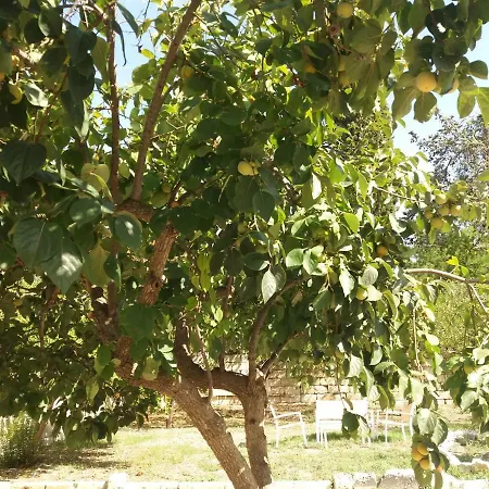 Il Giardino Delle Margherite Alojamento de Acomodação e Pequeno-almoço 4*