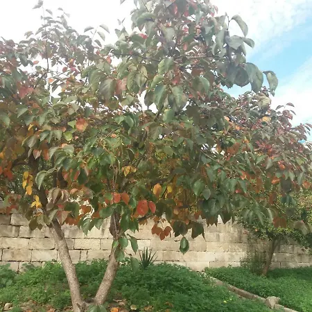 Il Giardino Delle Margherite 4* Lecce