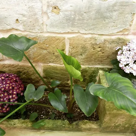 Il Giardino Delle Margherite Alojamento de Acomodação e Pequeno-almoço Lecce